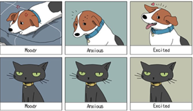 Une image contenant chat, mammifre, dessin humoristique, Dessin anim

Description gnre automatiquement