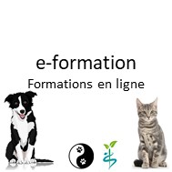 e-formation