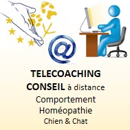 joeldehasse.com télécoaching consultance