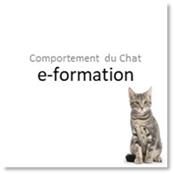 Une image contenant chat, chat domestique, Chats petite et moyenne taille, mammifre

Description gnre automatiquement