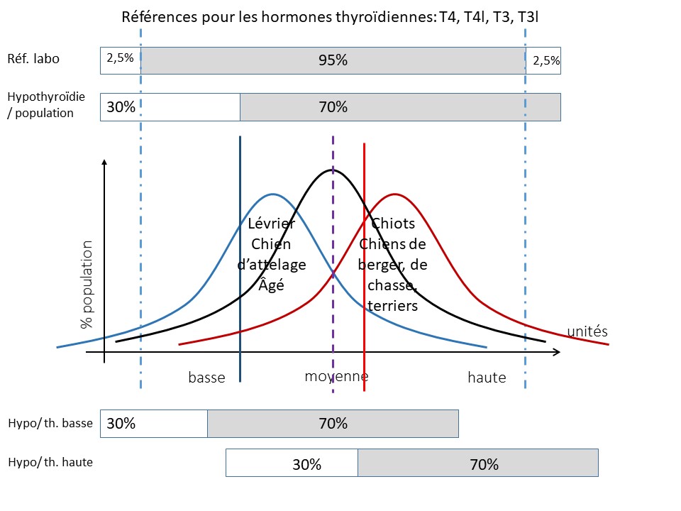hormones thyroidiennes- interprétation
